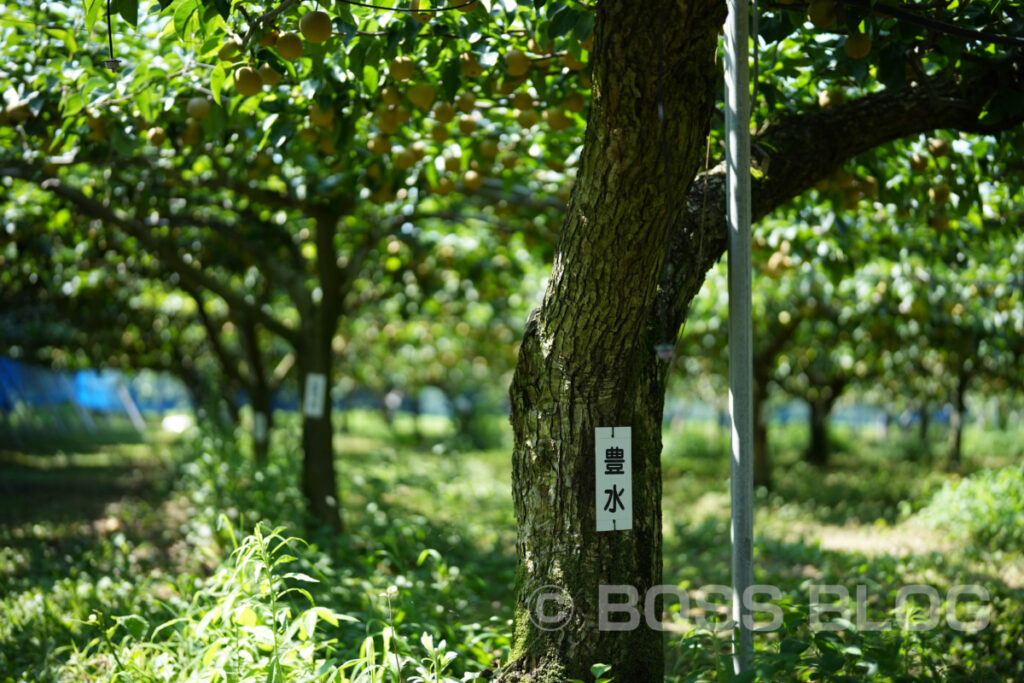 寺畑農園・菓子工房na.nan