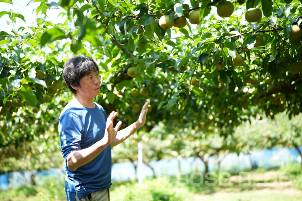 寺畑農園・菓子工房na.nan