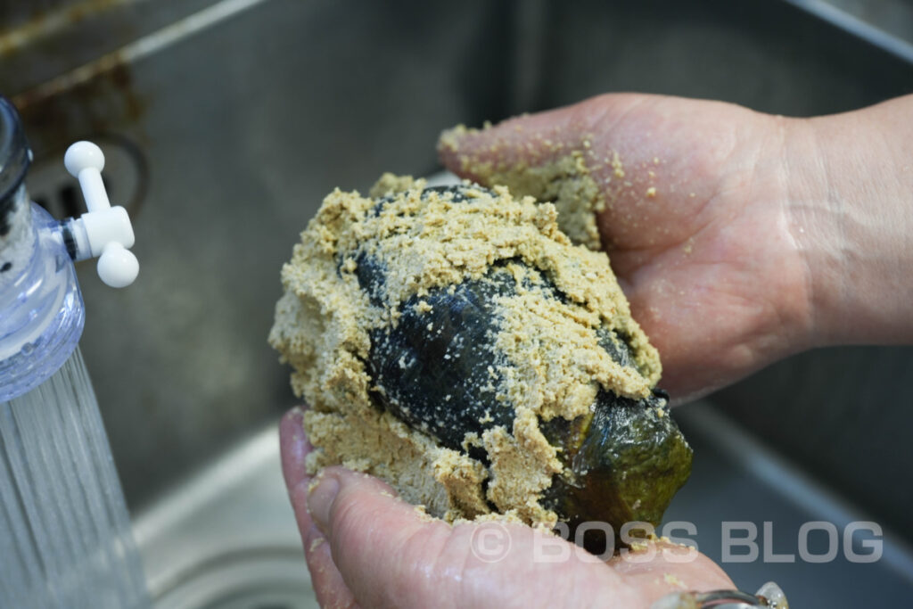 水茄子浅漬定食