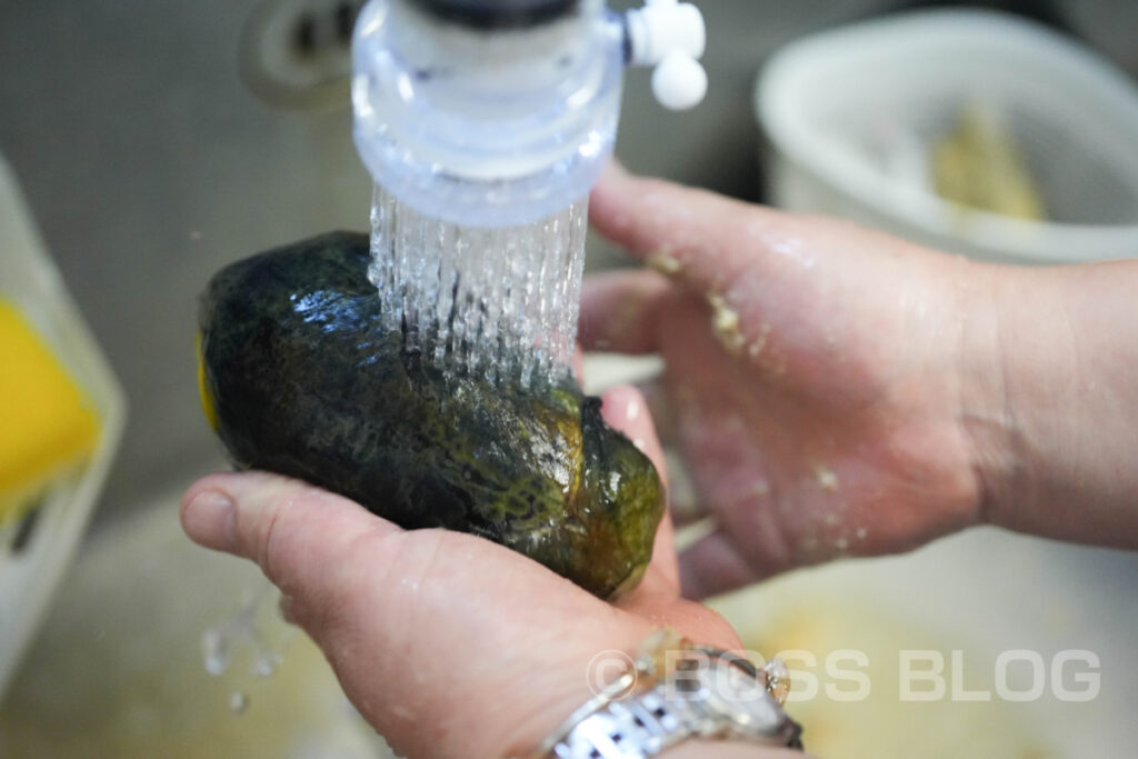 水茄子浅漬定食