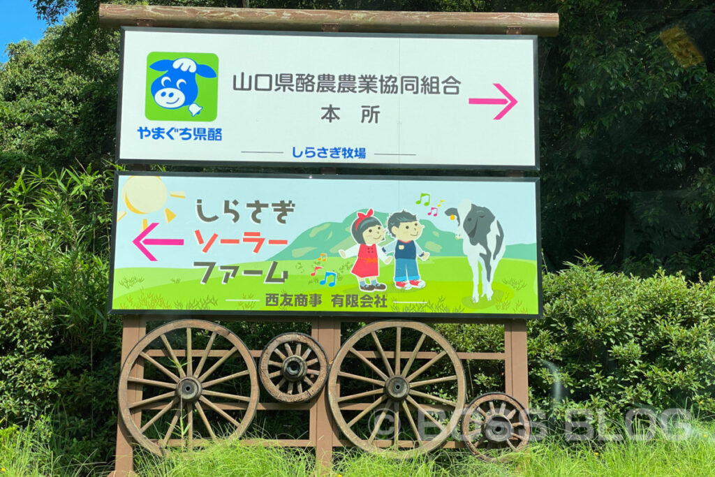 やまぐち県酪