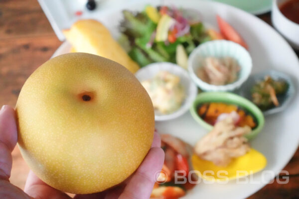ダイニングカフェ・Bloom・寺畑農園