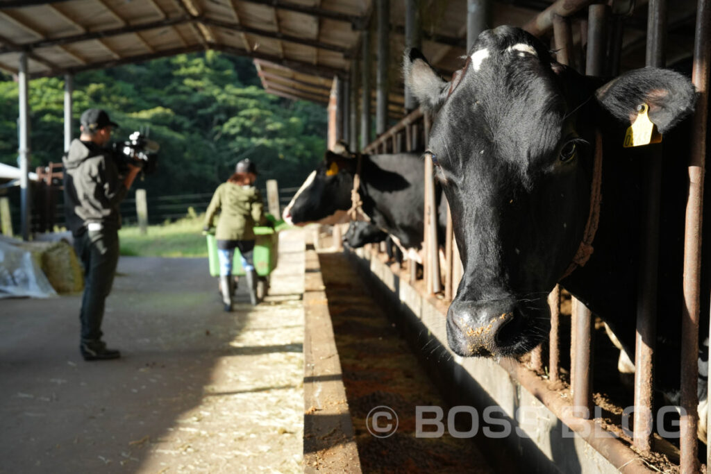 しもマル・やまぐち県酪・岩本牧場・沖永優子