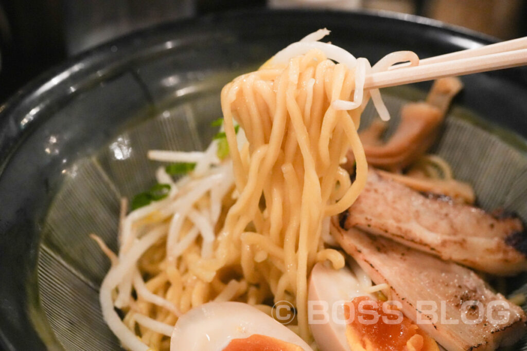 雷伝・つけ麺・汁なし麺