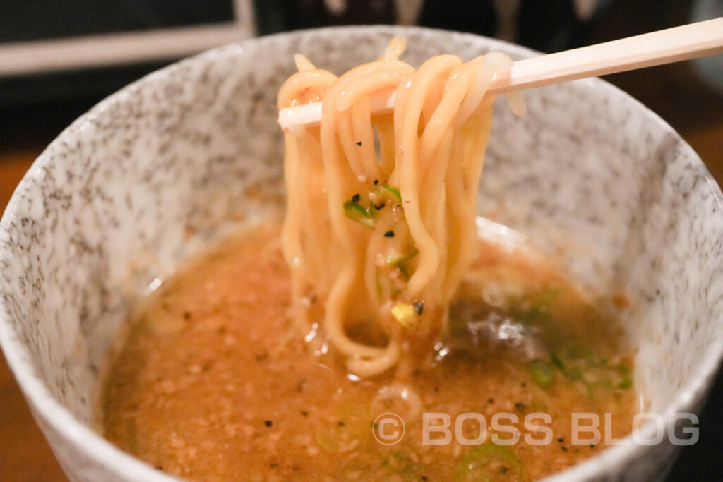 雷伝・つけ麺・汁なし麺