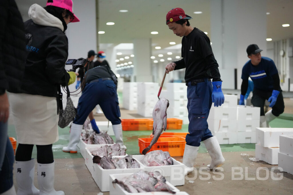 下関漁港地方卸売市場・あんこう