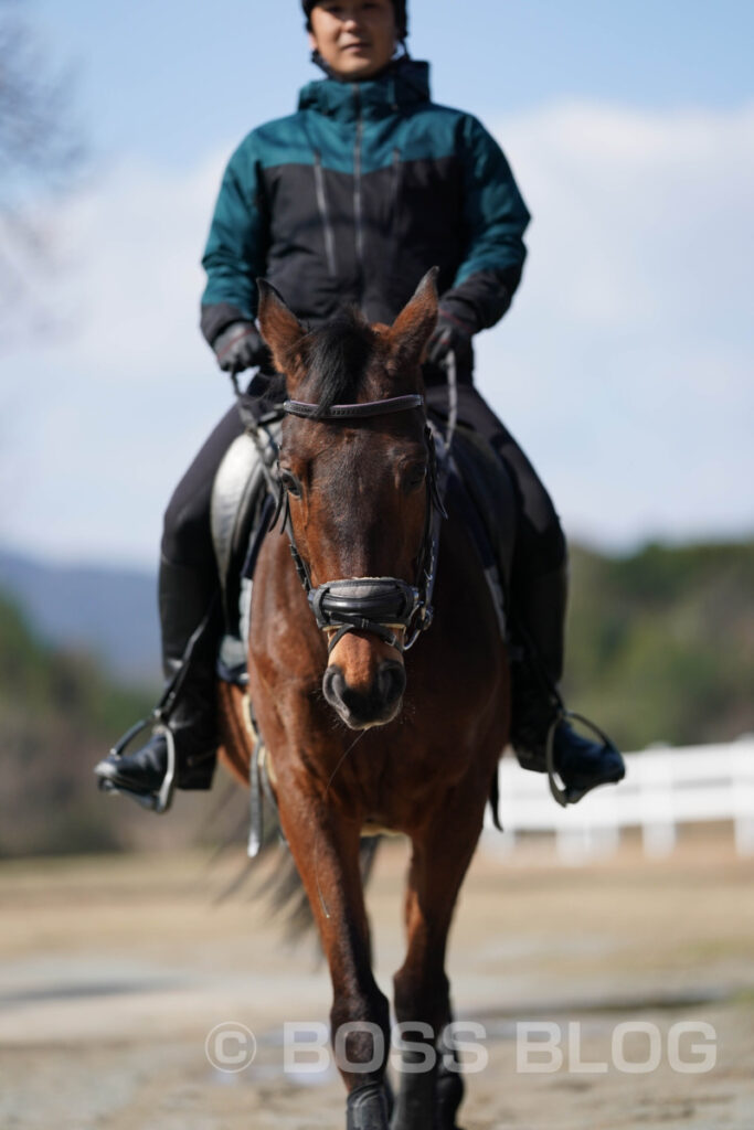 とようらナビ・川棚乗馬クラブ