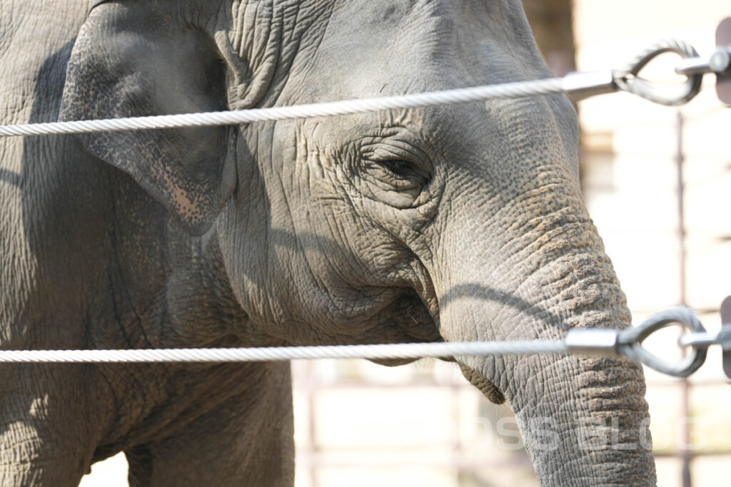 周南市徳山動物園