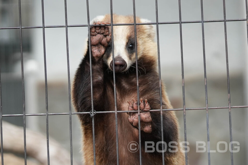 周南市徳山動物園