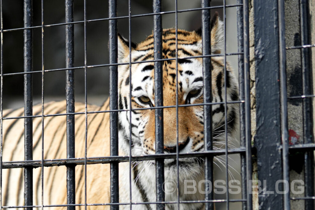 周南市徳山動物園