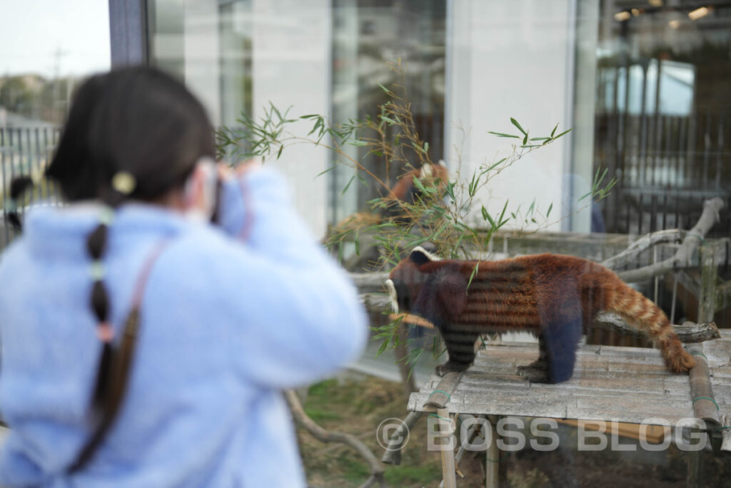 周南市徳山動物園