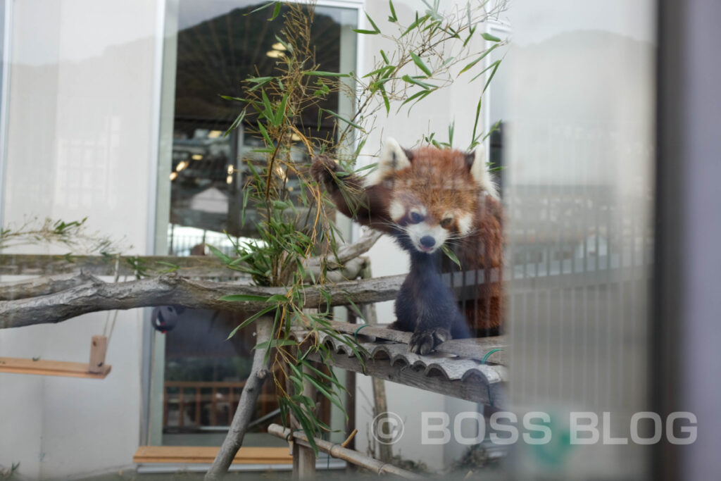 周南市徳山動物園