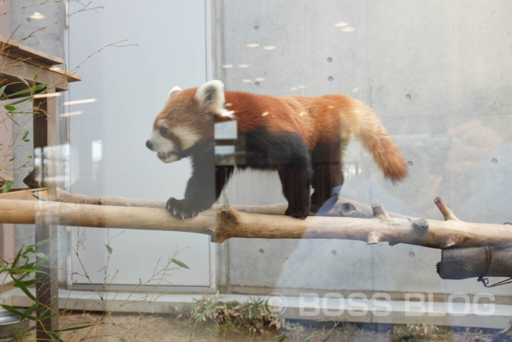 周南市徳山動物園