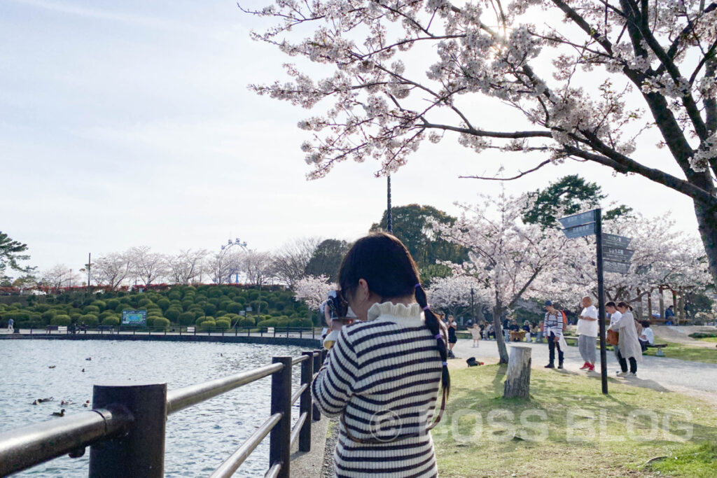 宇部市・ときわ公園