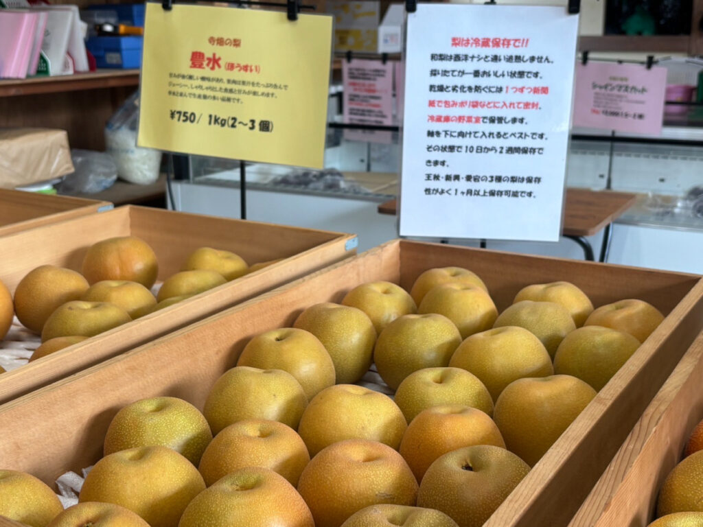 山口県下関市豊北町・寺畑農園・豊水・ECサイト